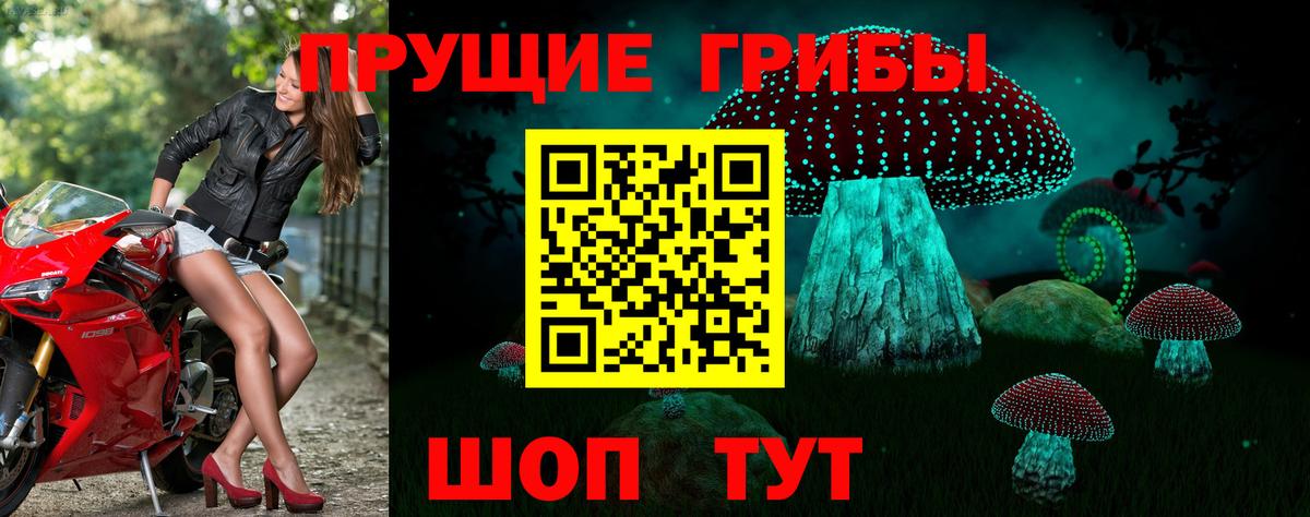 Серов  Псилоцибиновые грибы Cubensis  где можно купить наркотик  Вход с VPN  Псилоцибиновые грибы ЛСД 