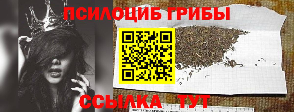 Псилоцибиновые грибы прущие грибы Серов